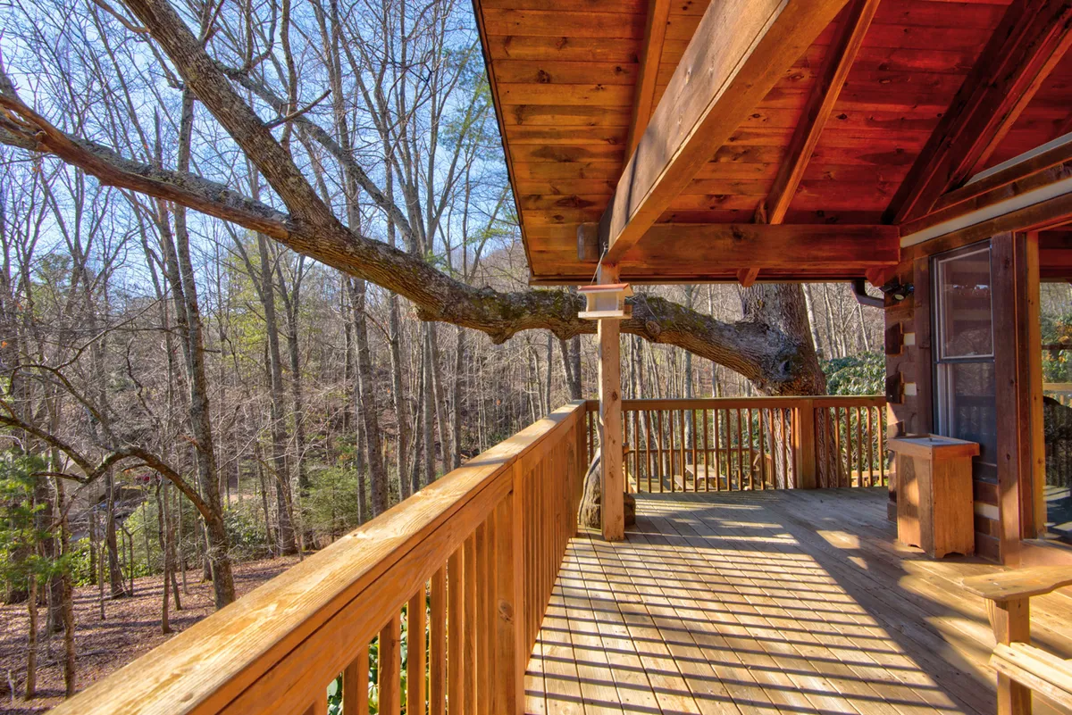 This image showcases a wooden deck bordered by a sturdy railing, shaded by a large tree branch, and surrounded by lush greenery. The scene exudes peace and offers a sense of immersion in the outdoors, with the deck inviting guests to relax, observe wildlife, or socialize.